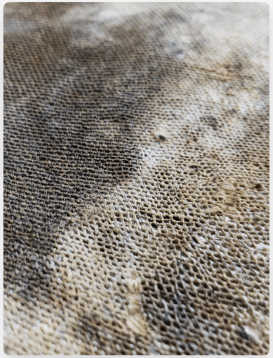 How to Clean Canvas Art: Simple Tips for Your Canvas Print - Chiara Rossetti