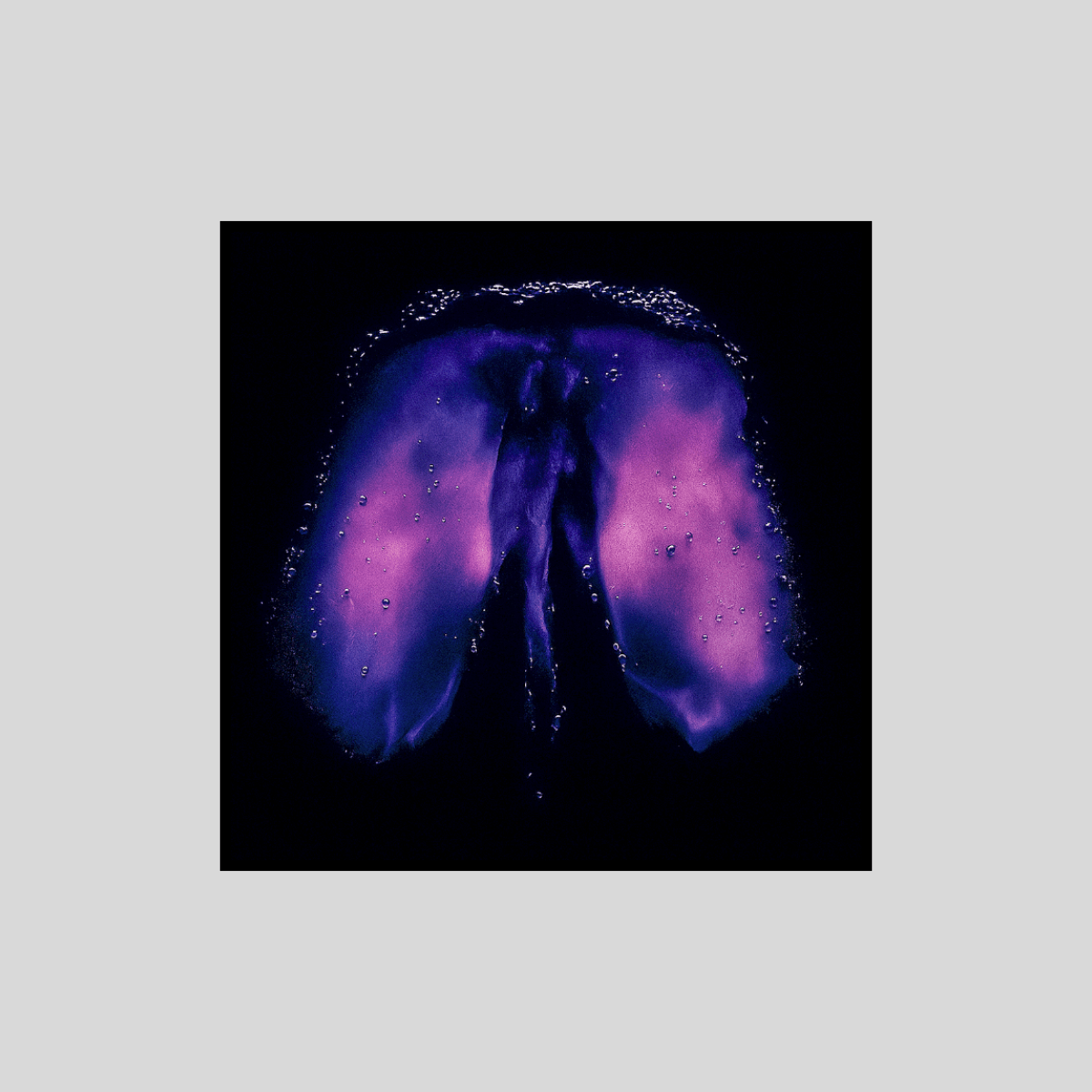 Canvas Print : "Cosmic Orchid" – Abstract Purple Flower Canvas Art | Trippy Wall Decor - Chiara Rossetti