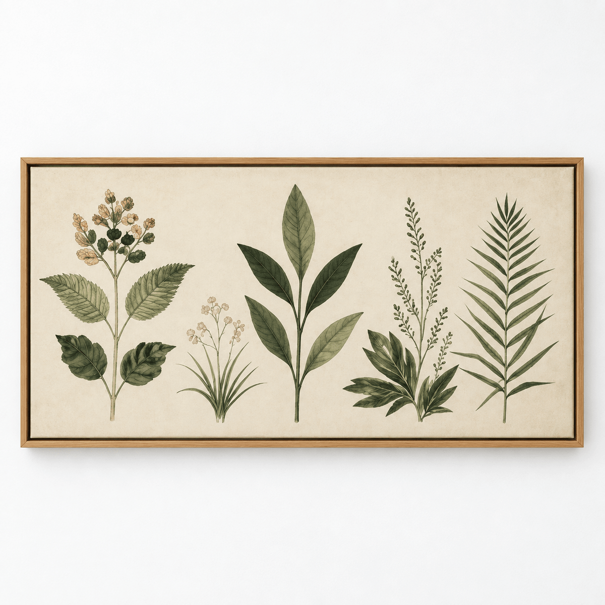 Vintage botanical print – Herbarium Study framed canvas by Rossetti Art
